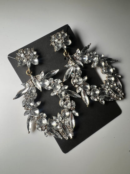 Aretes leonela